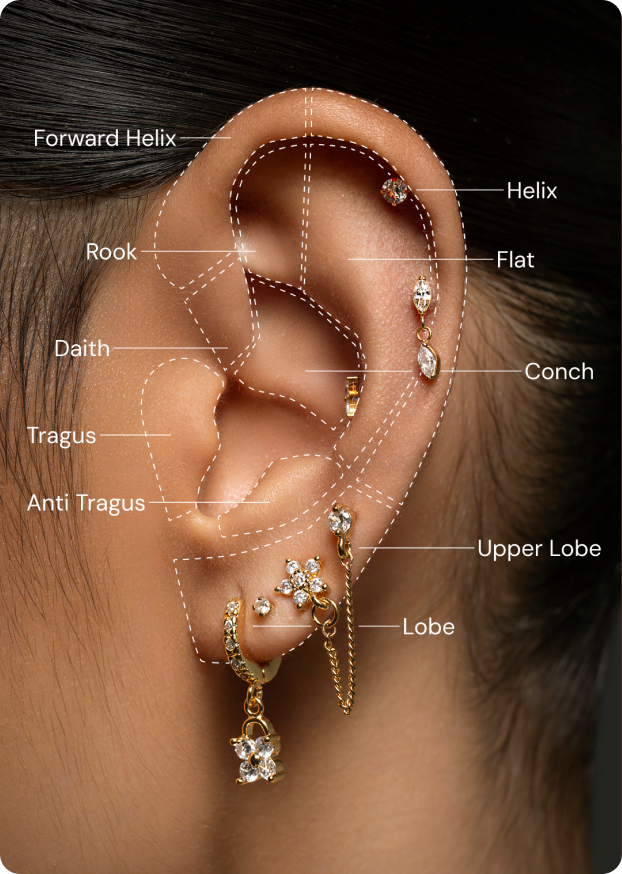 Piercing Jewellery
